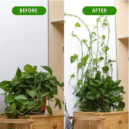 Plant Climbing Self Adhesive Wall Clips [60 Clips Set]