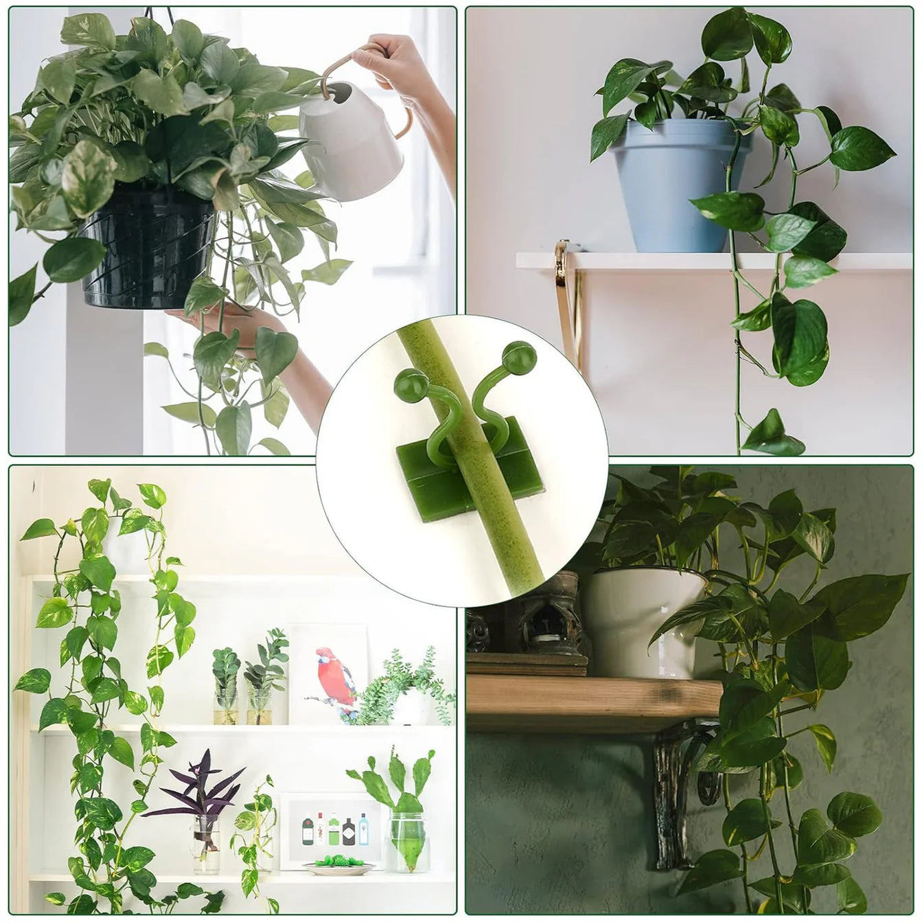 Plant Climbing Self Adhesive Wall Clips [60 Clips Set]