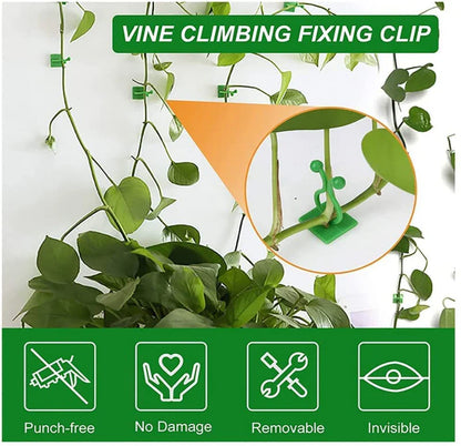 Plant Climbing Self Adhesive Wall Clips [60 Clips Set]