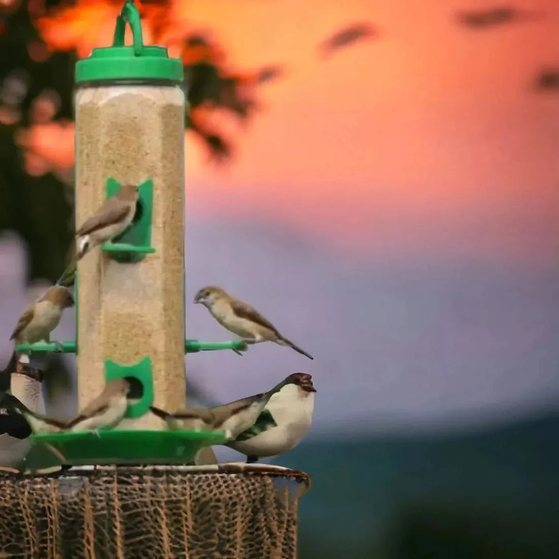 The Better Bird feeder